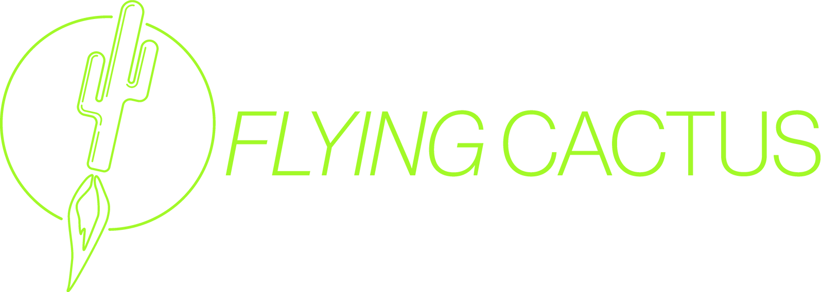 Flying Cactus